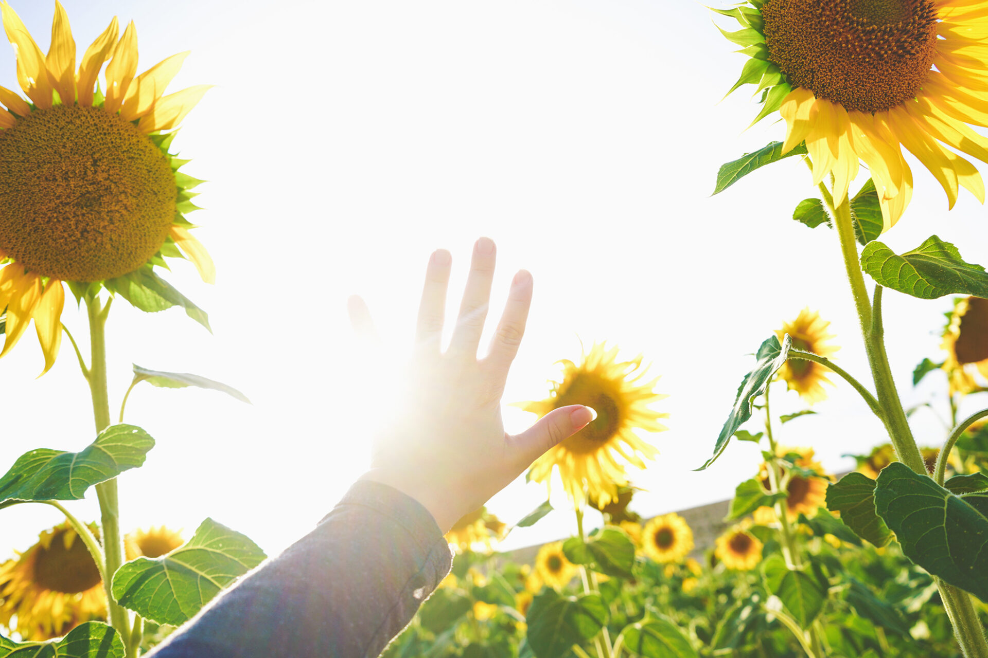 กำลังใจ